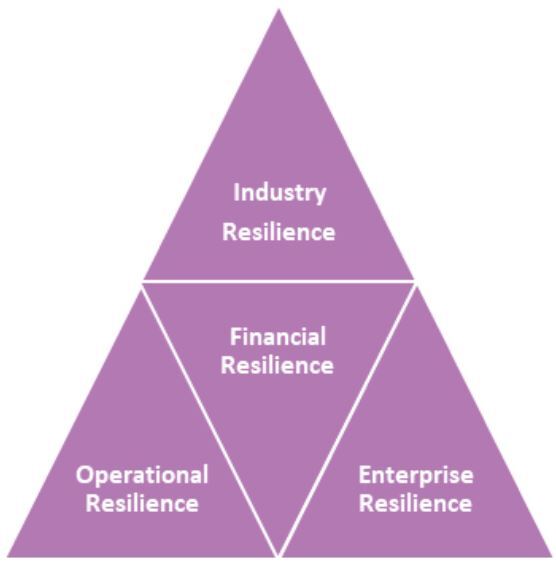 Altus Consulting diagram Financial Resilience pyramid.