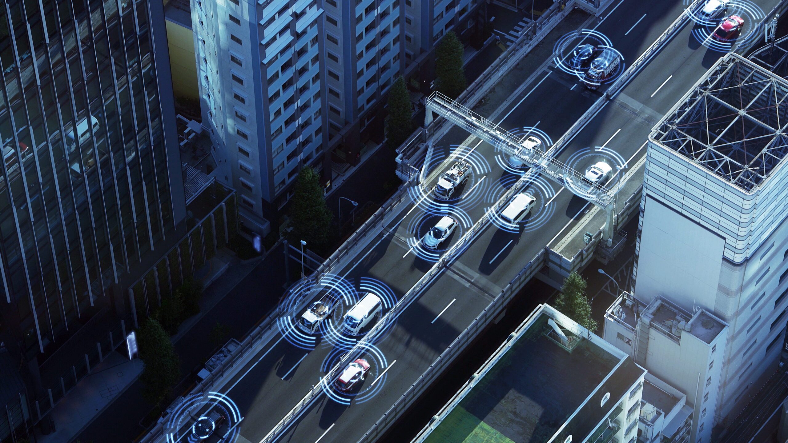 Road with cars circled