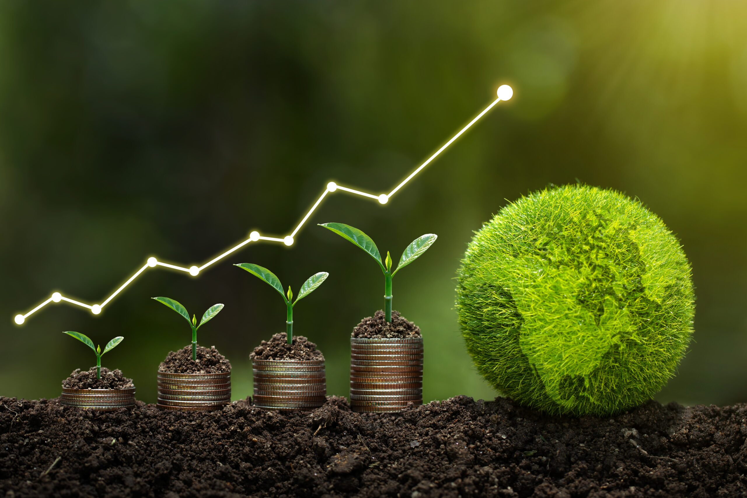 Coins planted in soil growing shoots