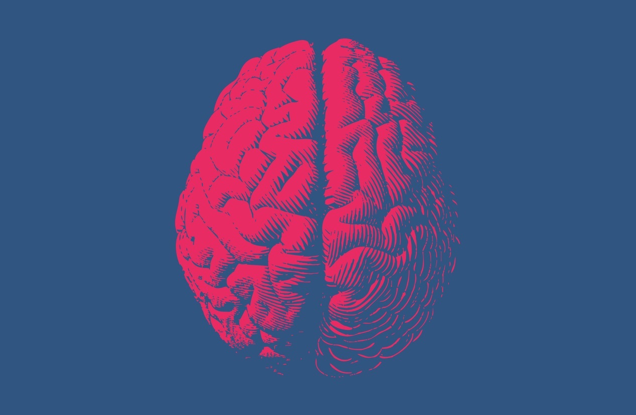 A brain