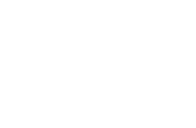 Altus Consulting Accenture logo