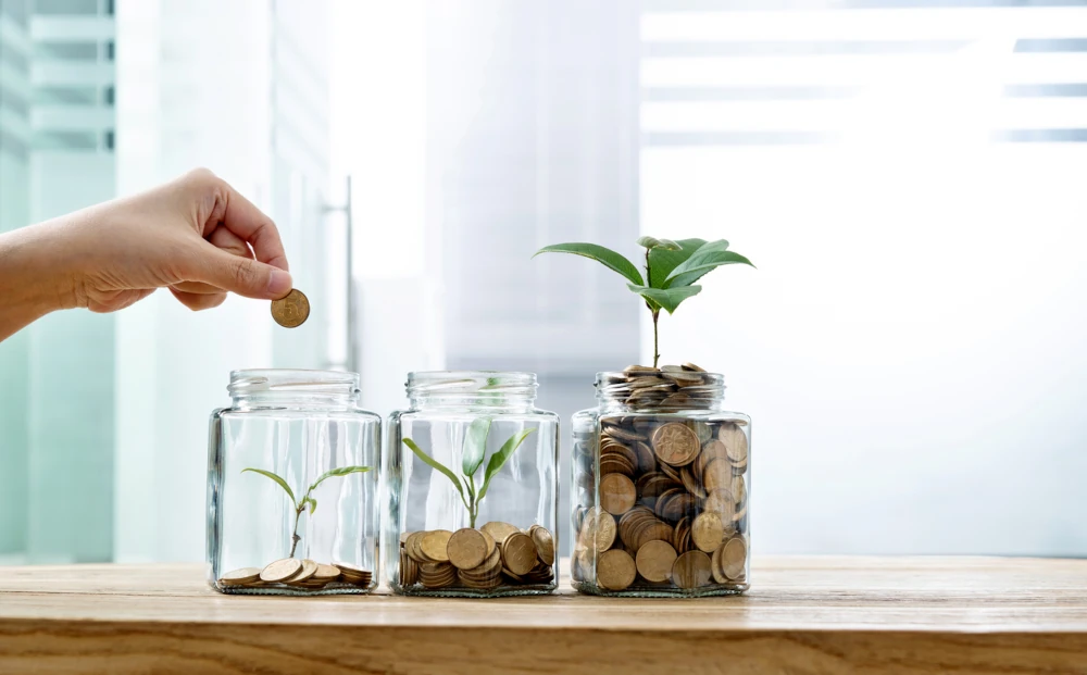 A line of jars with plants in them suggesting growth