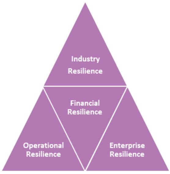 Altus Consulting diagram Financial Resilience pyramid.